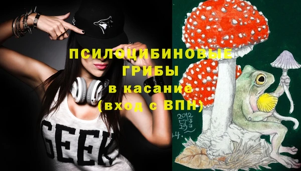 apvp Нея