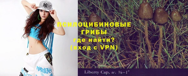 apvp Нея