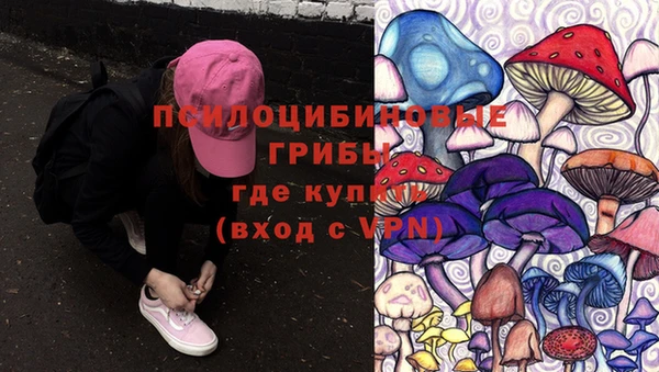 apvp Нея