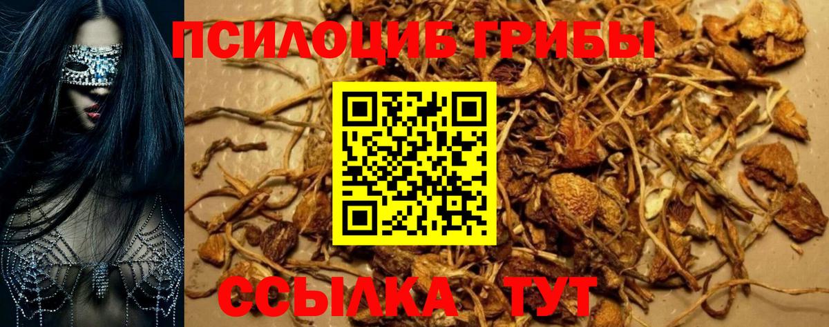 Галлюциногенные грибы MAGIC MUSHROOMS  Вход с VPN  Галлюциногенные грибы Psilocybine cubensis  Москва 